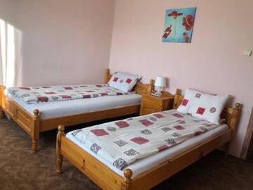 Фото номера Стандартный двухместный номер с 1 кроватью Гостевой дом Andreevi Guest House г. Добриниште 7