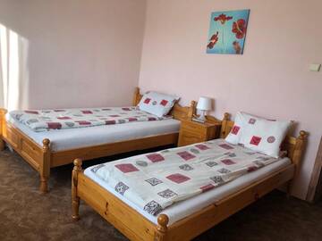 Фото номера Стандартный двухместный номер с 1 кроватью Гостевой дом Andreevi Guest House г. Добриниште 4