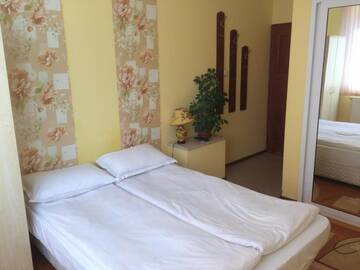Фото номера Небольшой двухместный номер с 1 кроватью Гостевой дом Mira Guest House г. Добриниште 11