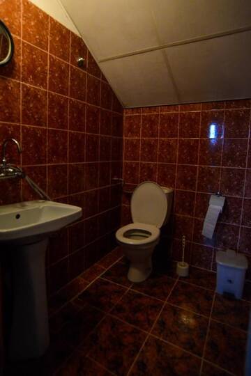 Фото номера Трехместный номер Гостевой дом Topuzovi Guest House г. Добриниште 10